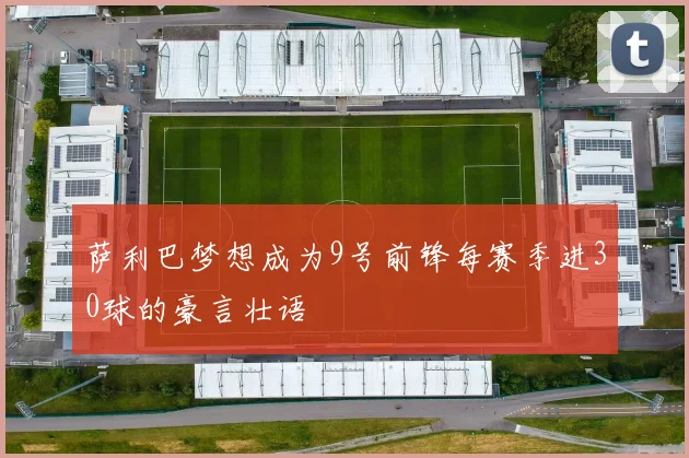 萨利巴梦想成为9号前锋每赛季进30球的豪言壮语