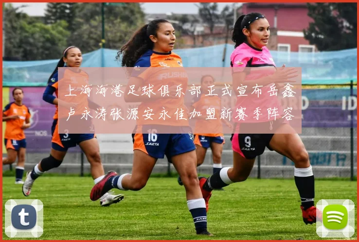 上海海港足球俱乐部正式宣布岳鑫卢永涛张源安永佳加盟新赛季阵容更新