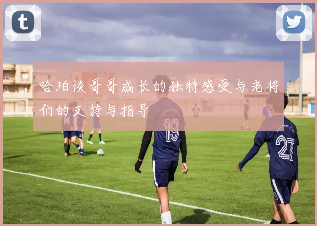 哈珀谈哥哥成长的独特感受与老将们的支持与指导